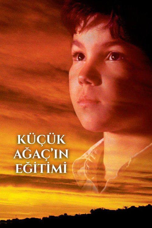 The Education of Little Tree film afişi
