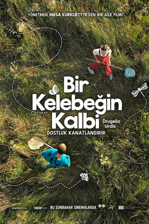 Drugelio širdis film afişi