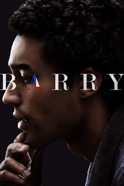 Barry film afişi