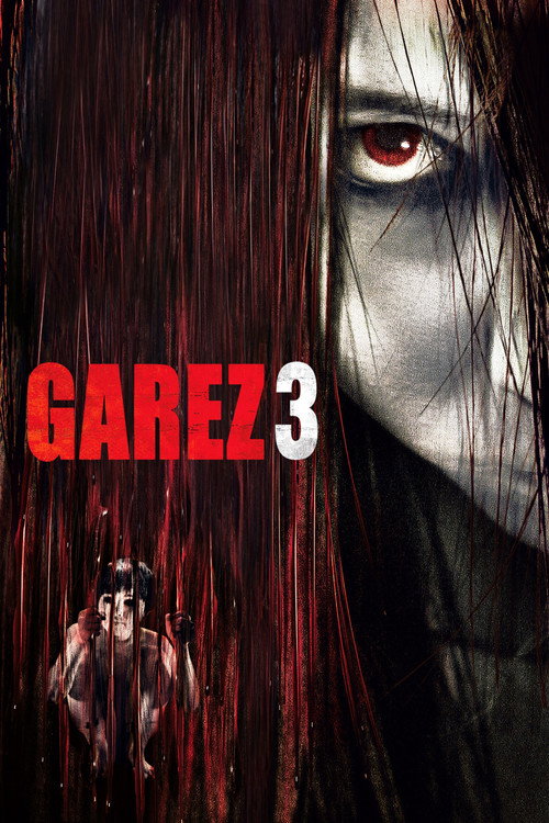 The Grudge 3 film afişi