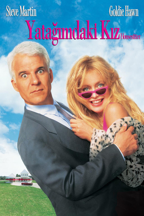 HouseSitter film afişi