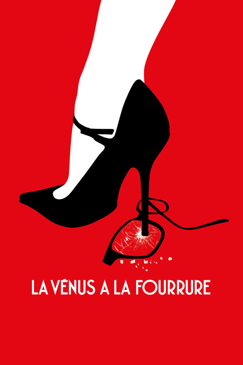 La Vénus à la fourrure film afişi