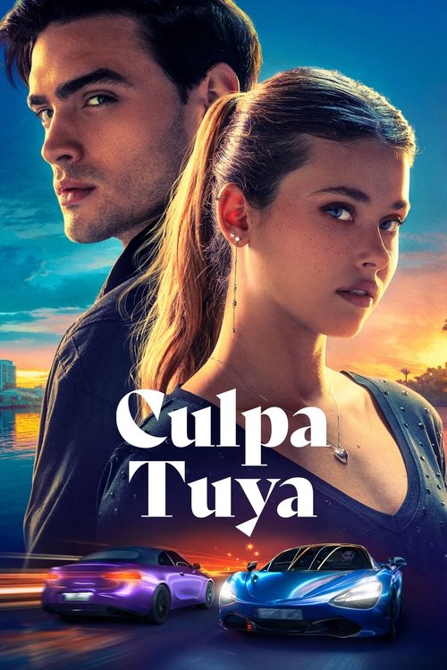 Your Fault film afişi
