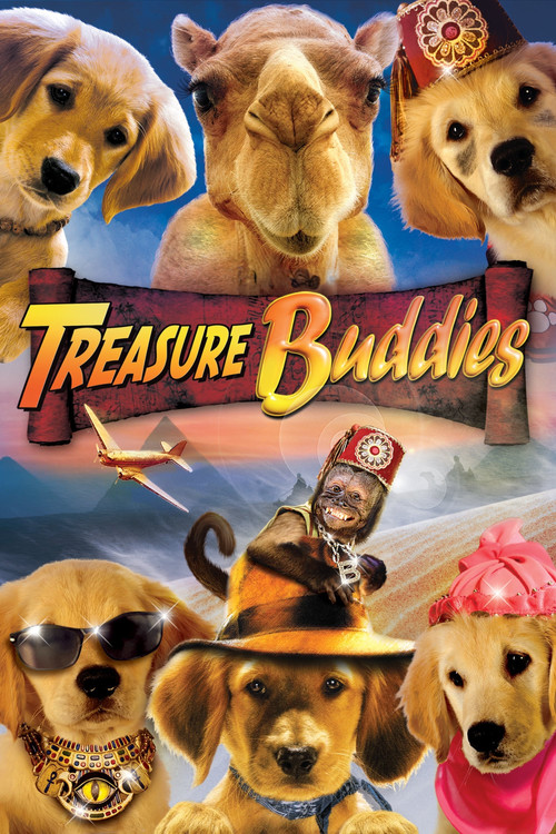 Treasure Buddies film afişi