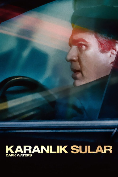 Karanlık Sular film afişi