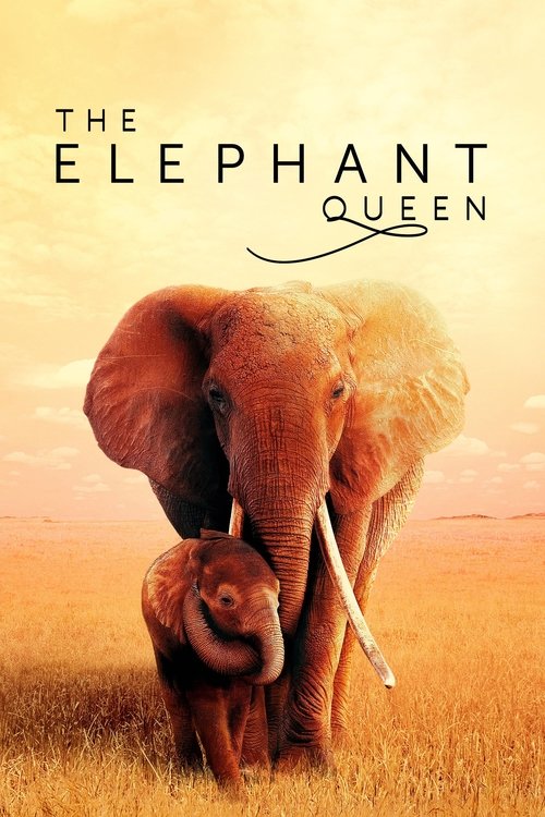 The Elephant Queen film afişi
