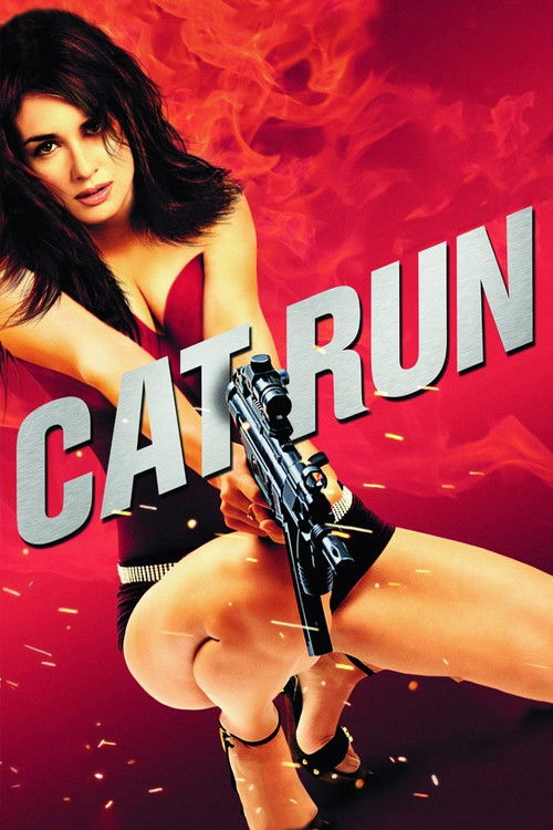 Cat Run film afişi