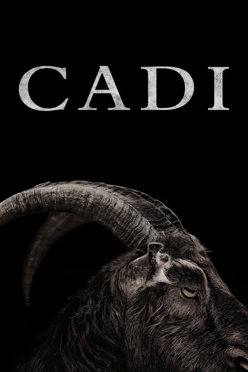 The Witch film afişi
