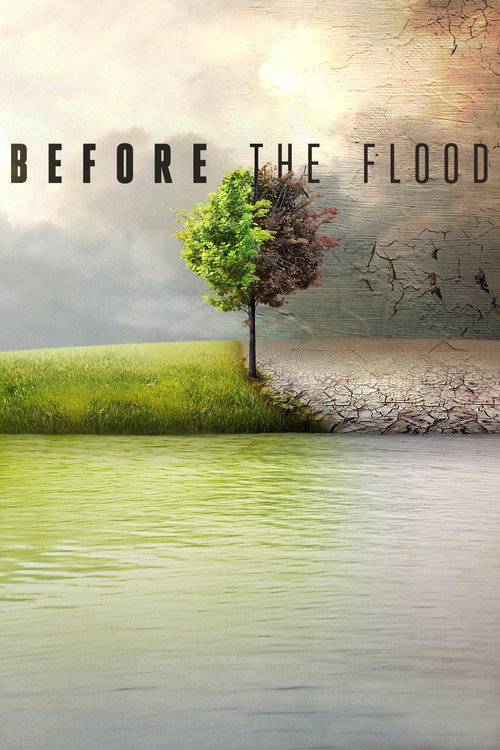Before the Flood film afişi