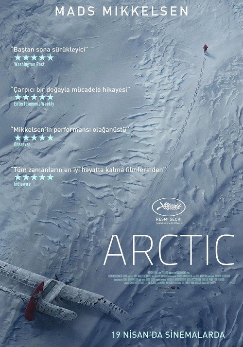 Arctic film afişi