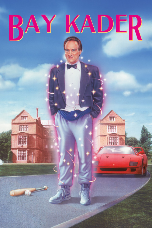Mr. Destiny film afişi