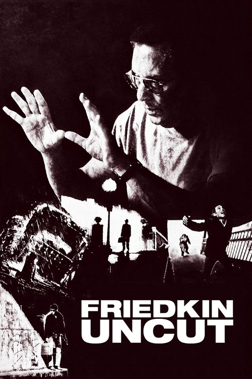 Friedkin Uncut film afişi