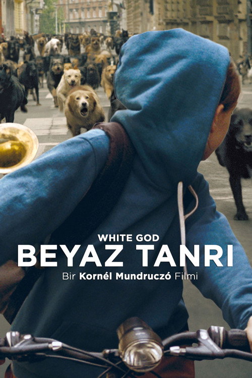 White God film afişi