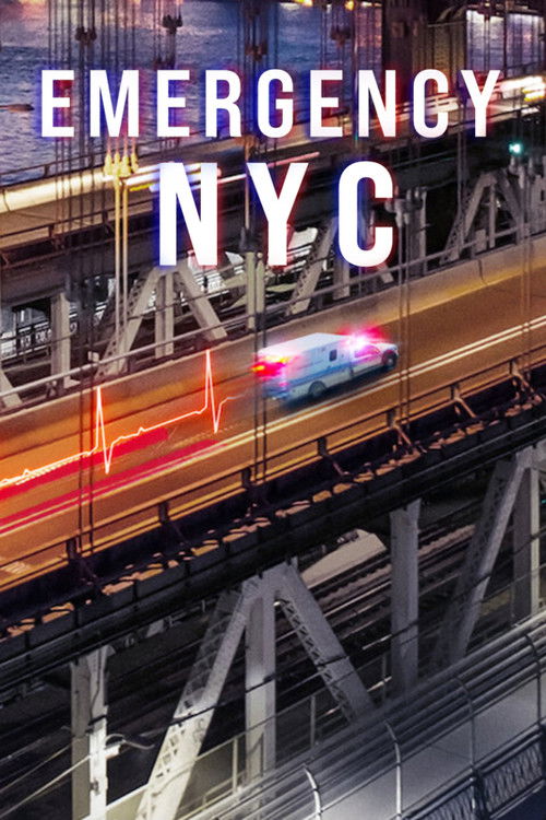 Acil Durum: New York dizi afişi