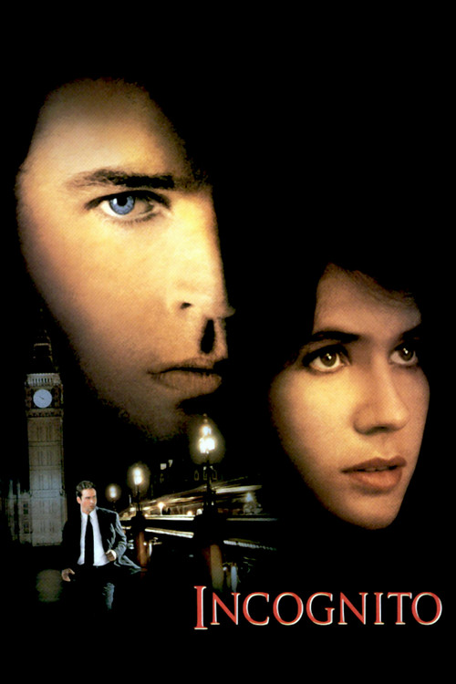 Incognito film afişi