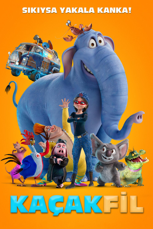 Hitpig! film afişi