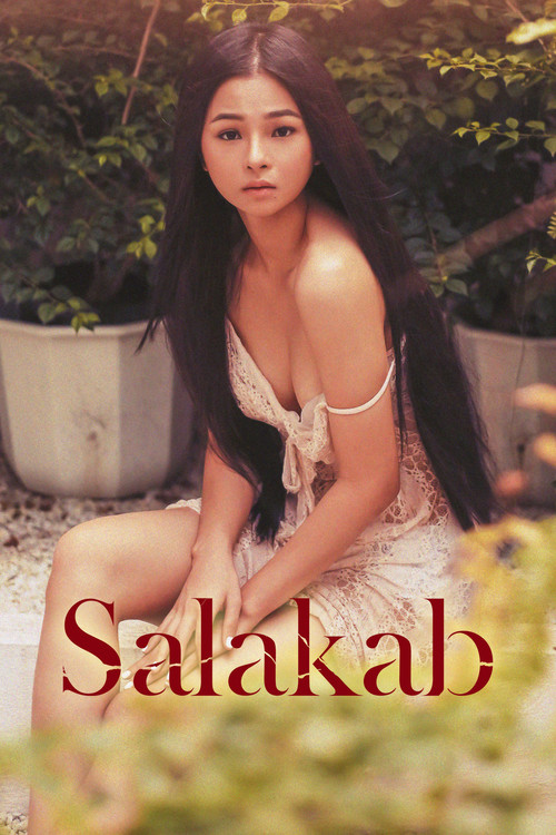 Salakab film afişi