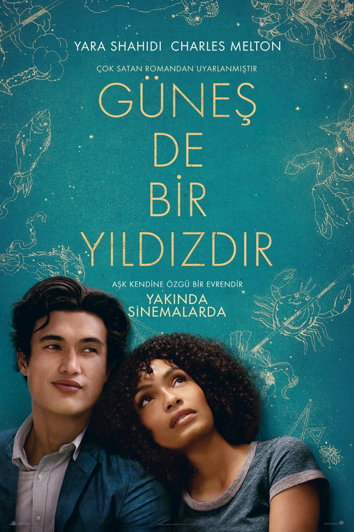 The Sun Is Also a Star film afişi