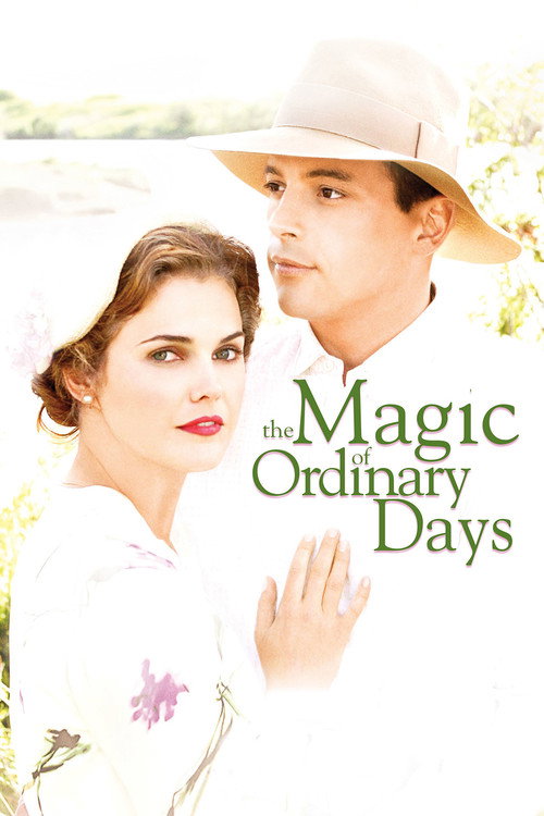 The Magic of Ordinary Days film afişi