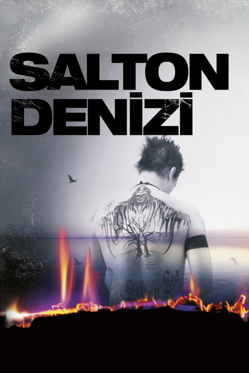 The Salton Sea film afişi