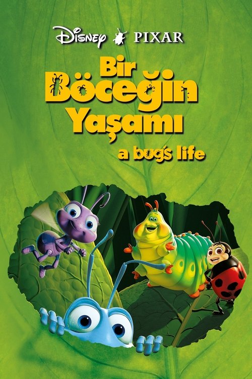 A Bug's Life film afişi