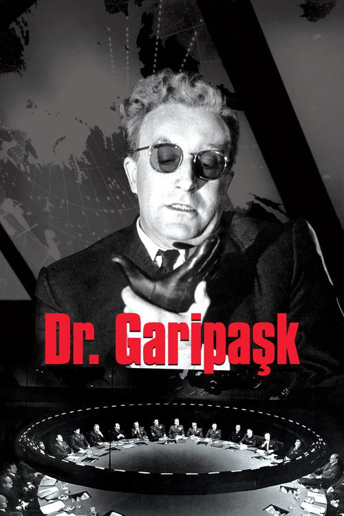 Dr. Garipaşk film afişi