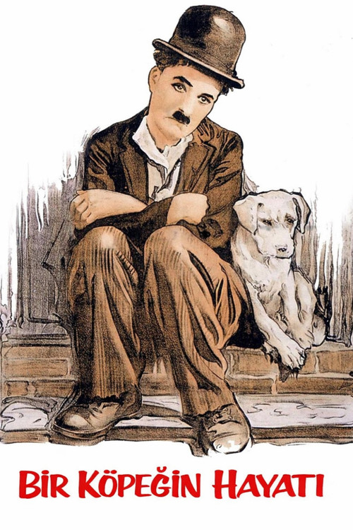 A Dog's Life film afişi
