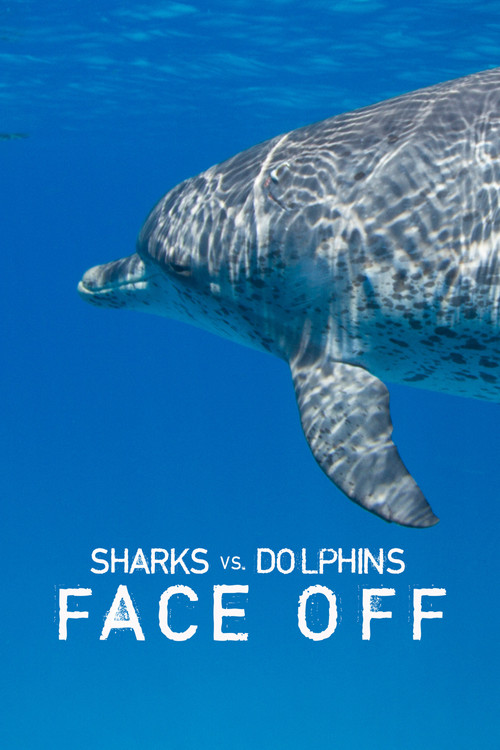 Sharks vs. Dolphins: Face Off film afişi