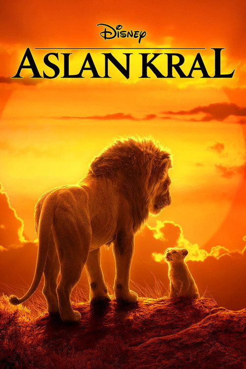 Aslan Kral film afişi