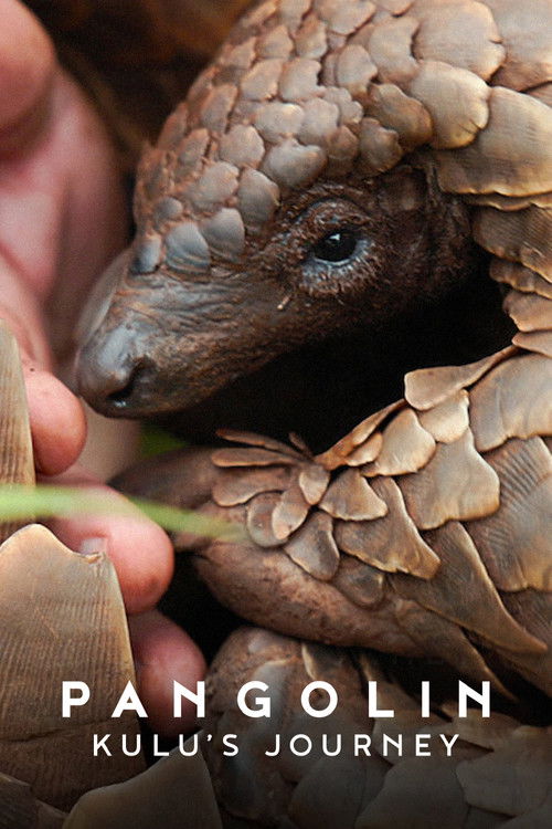 Pangolin: Kulu's Journey film afişi