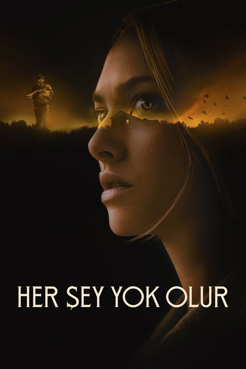 Her Şey Yok Olur film afişi