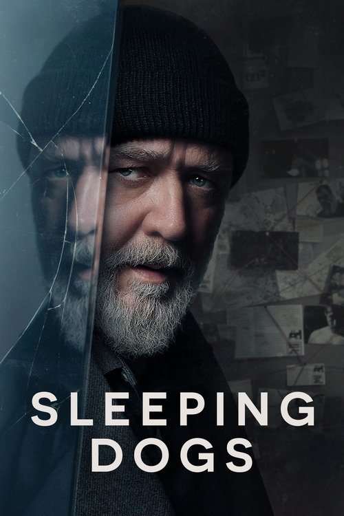 Sleeping Dogs film afişi