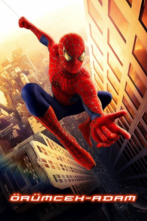 Spider-Man film afişi