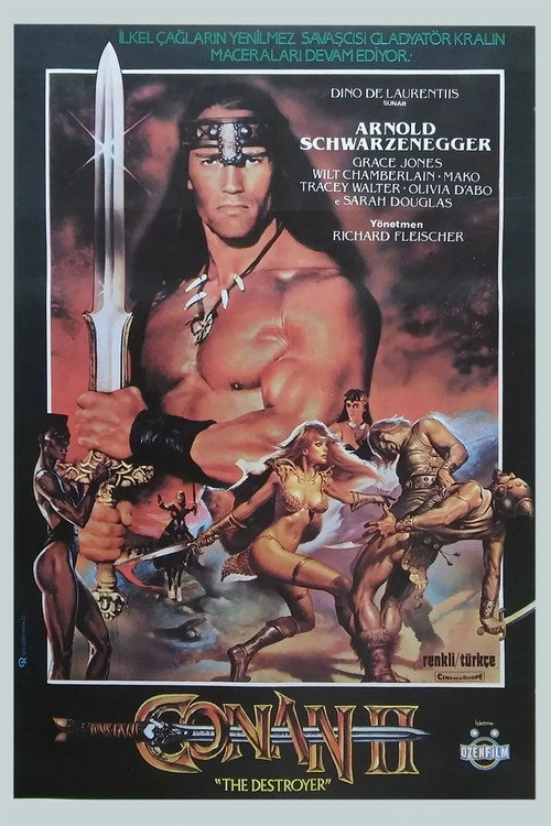 Conan the Destroyer film afişi