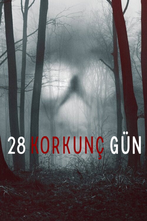 28 Korkunç Gün dizi afişi