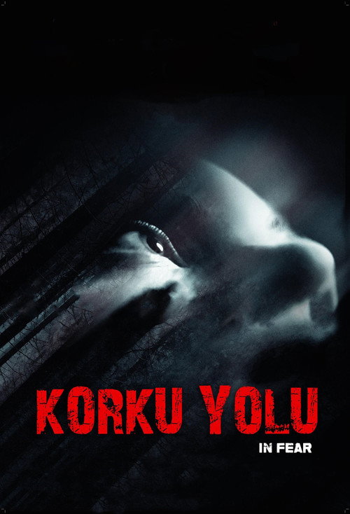 Korku Yolu film afişi