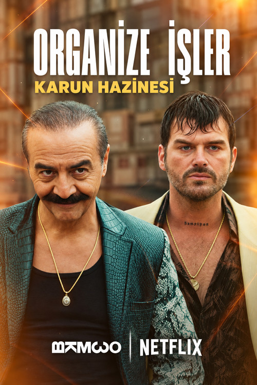 Organize İşler: Karun Hazinesi dizi afişi