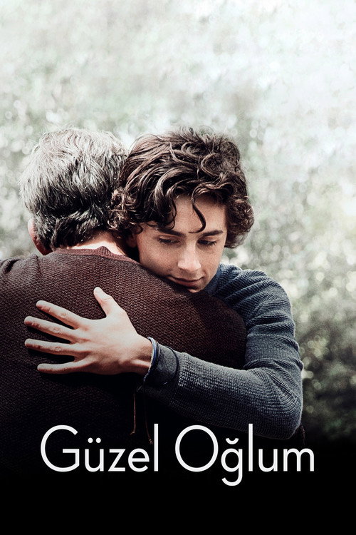 Beautiful Boy film afişi