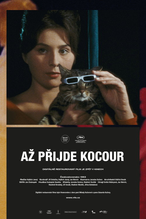 Az prijde kocour film afişi