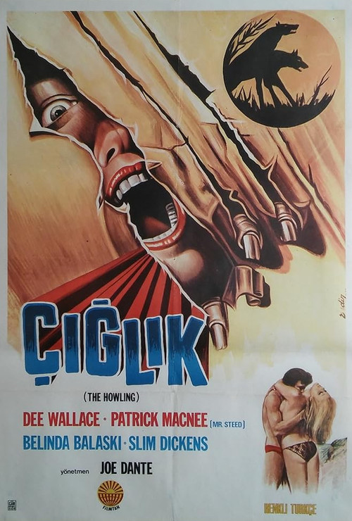 Çığlık film afişi