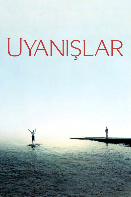 Awakenings film afişi