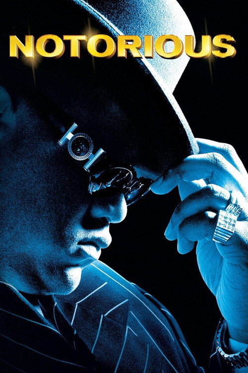Notorious film afişi