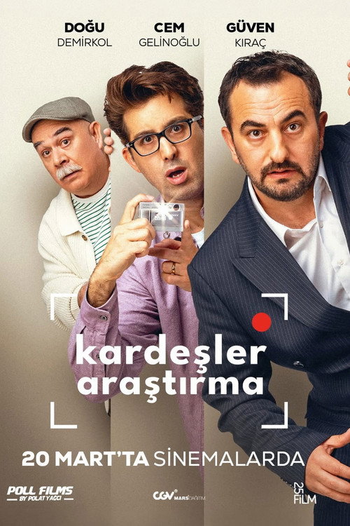Detective Brothers film afişi