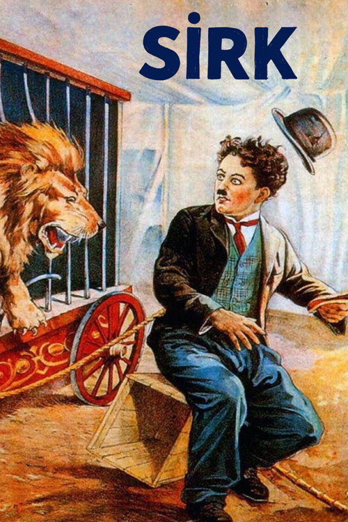 The Circus film afişi