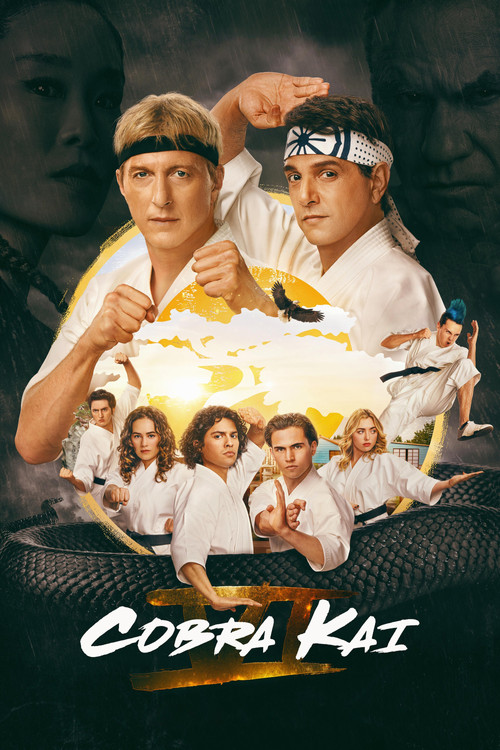Cobra Kai dizi afişi
