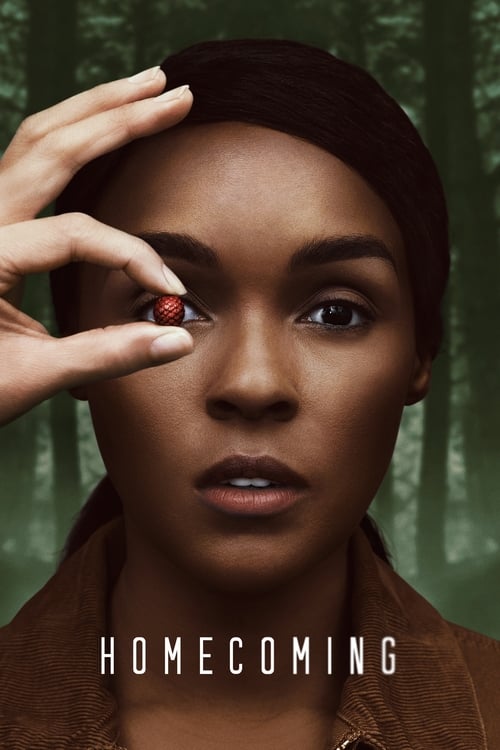 Homecoming dizi afişi
