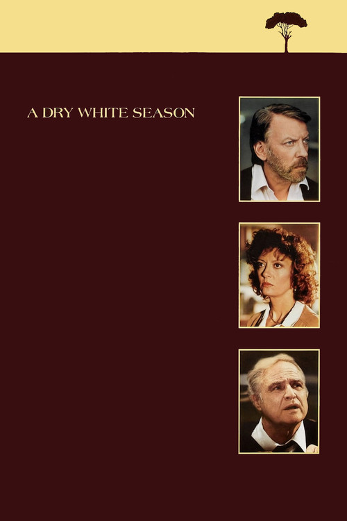 A Dry White Season film afişi