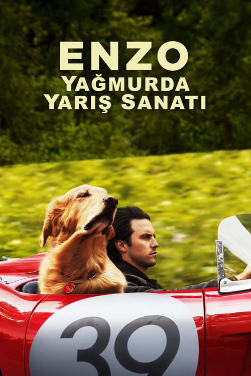 The Art of Racing in the Rain film afişi
