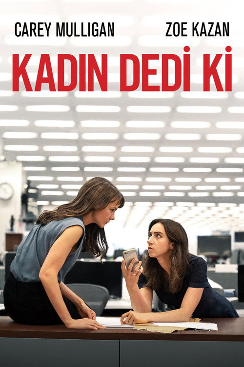 She Said film afişi