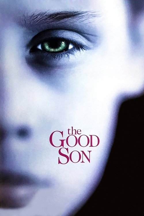 The Good Son film afişi